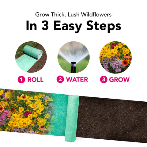 Growtrax zinnia-tulip bulbs ready to plant for vibrant spring to summer color