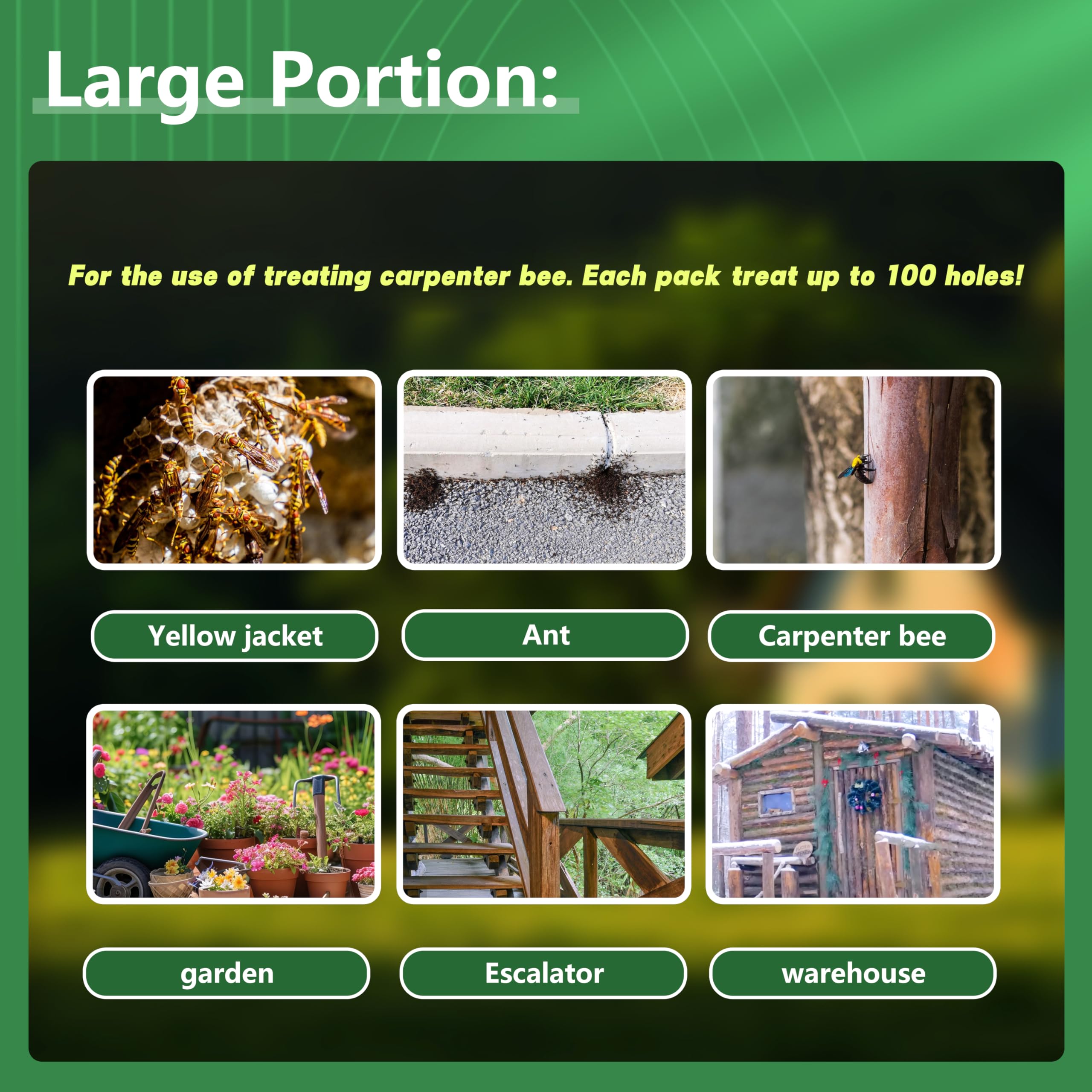 GRTRE hole-application showing butter inserted into carpenter bee hole.