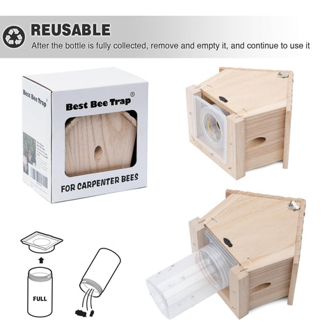 GRTRE outdoor trap demonstrates pest management potential
