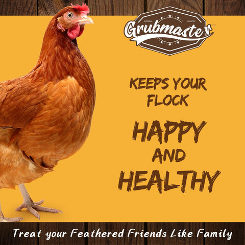 GRUBMASTER dried BSF larvae presented as a natural GMO-free poultry snack