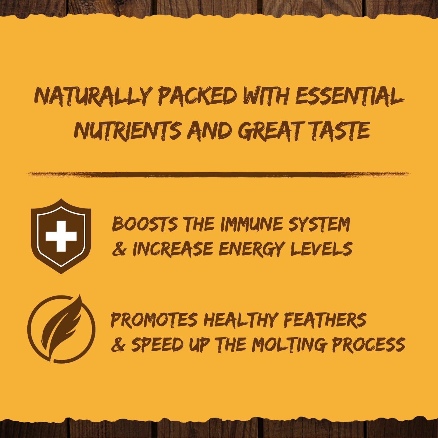 GRUBMASTER BSF larvae highlighting calcium-rich benefits for resilient eggs