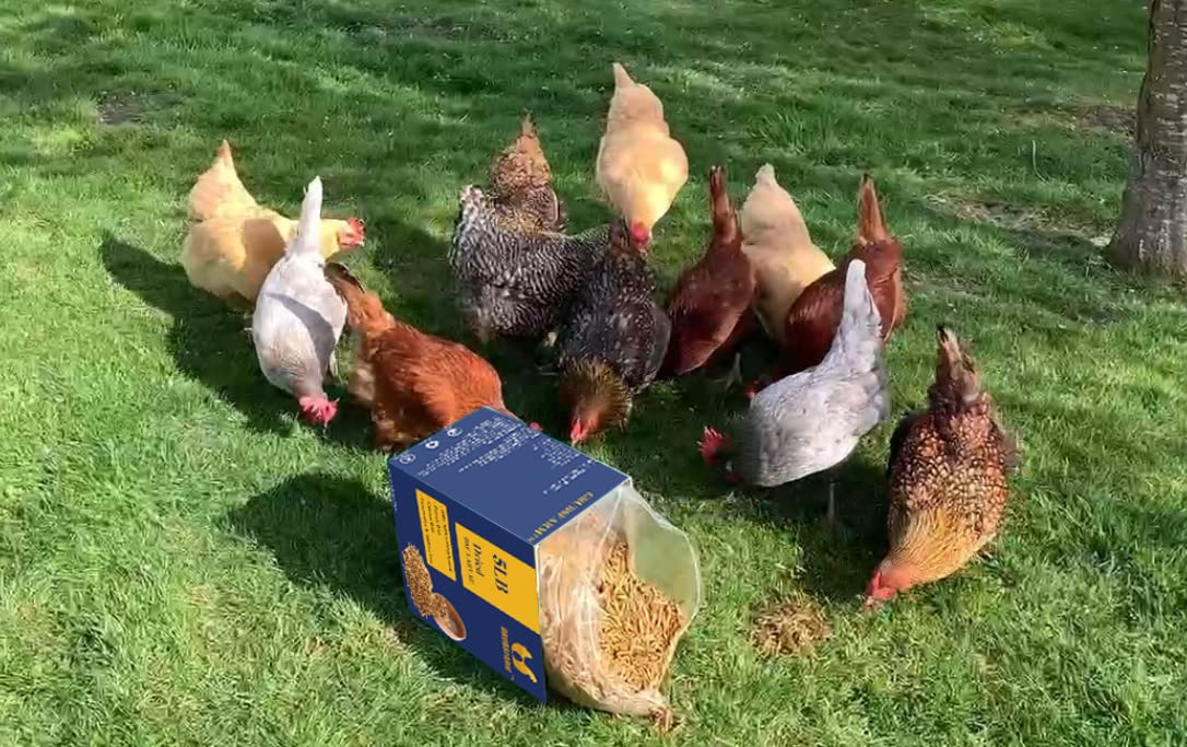 Sustainable harvest reduces waste and supports recycling