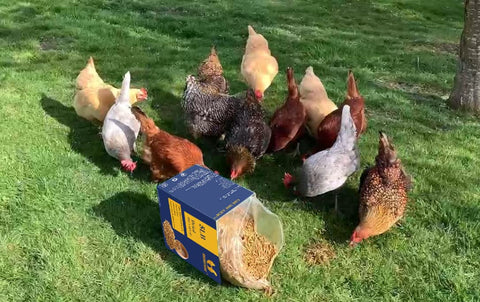 Sustainable harvest reduces waste and supports recycling