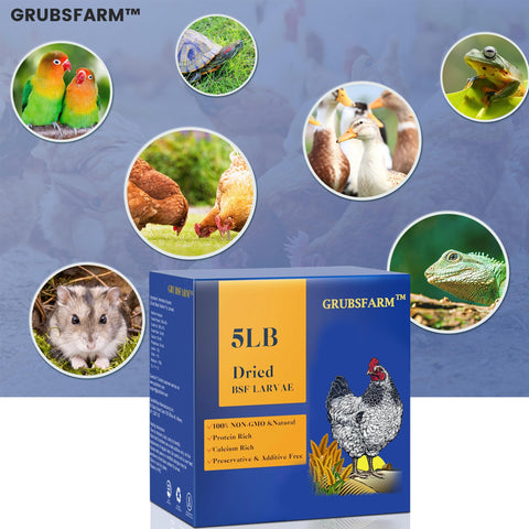 Resealable GRUBSFARM box keeps larvae fresh without refrigeration