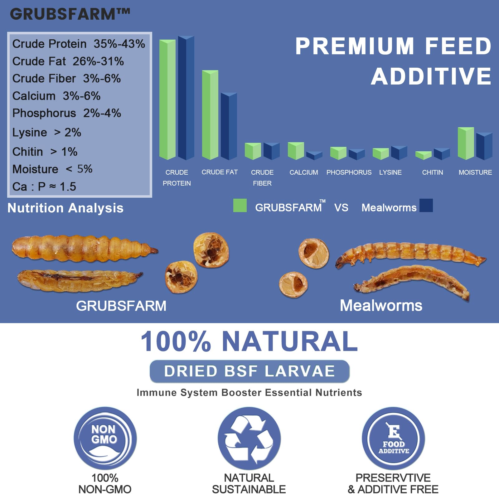 GRUBSFARM dried black soldier fly larvae close-up, high-protein snack for flocks.