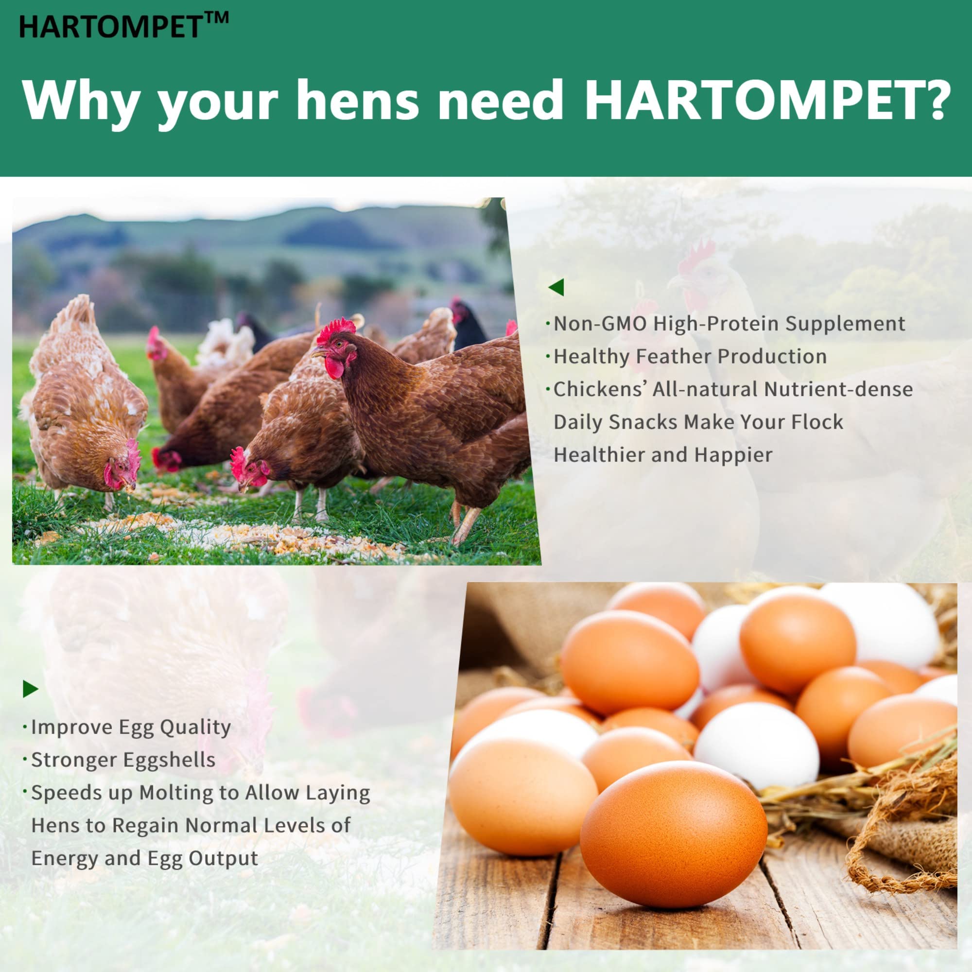 GRUBSFARM HARTOMPET resealable bag keeps larvae fresh.