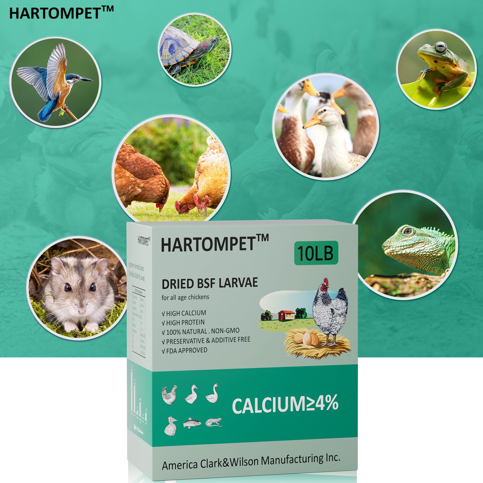 Sustainable sourcing: GRUBSFARM HARTOMPET larvae reduce food waste.