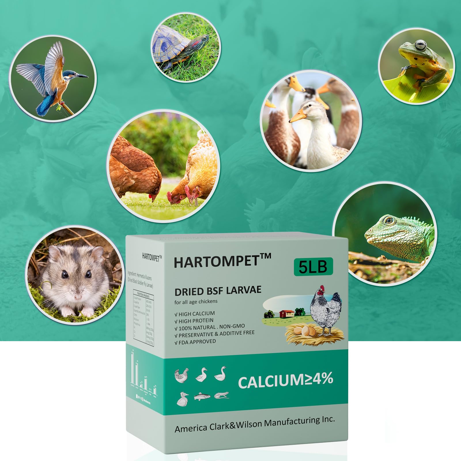 GRUBSFARM Hartompet close-up highlights dense protein in dried larvae