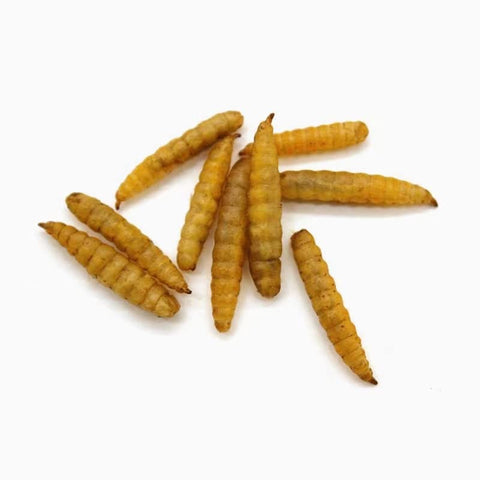 GRUBSFARM Hartompet packaging seal demonstrates freshness and resealability