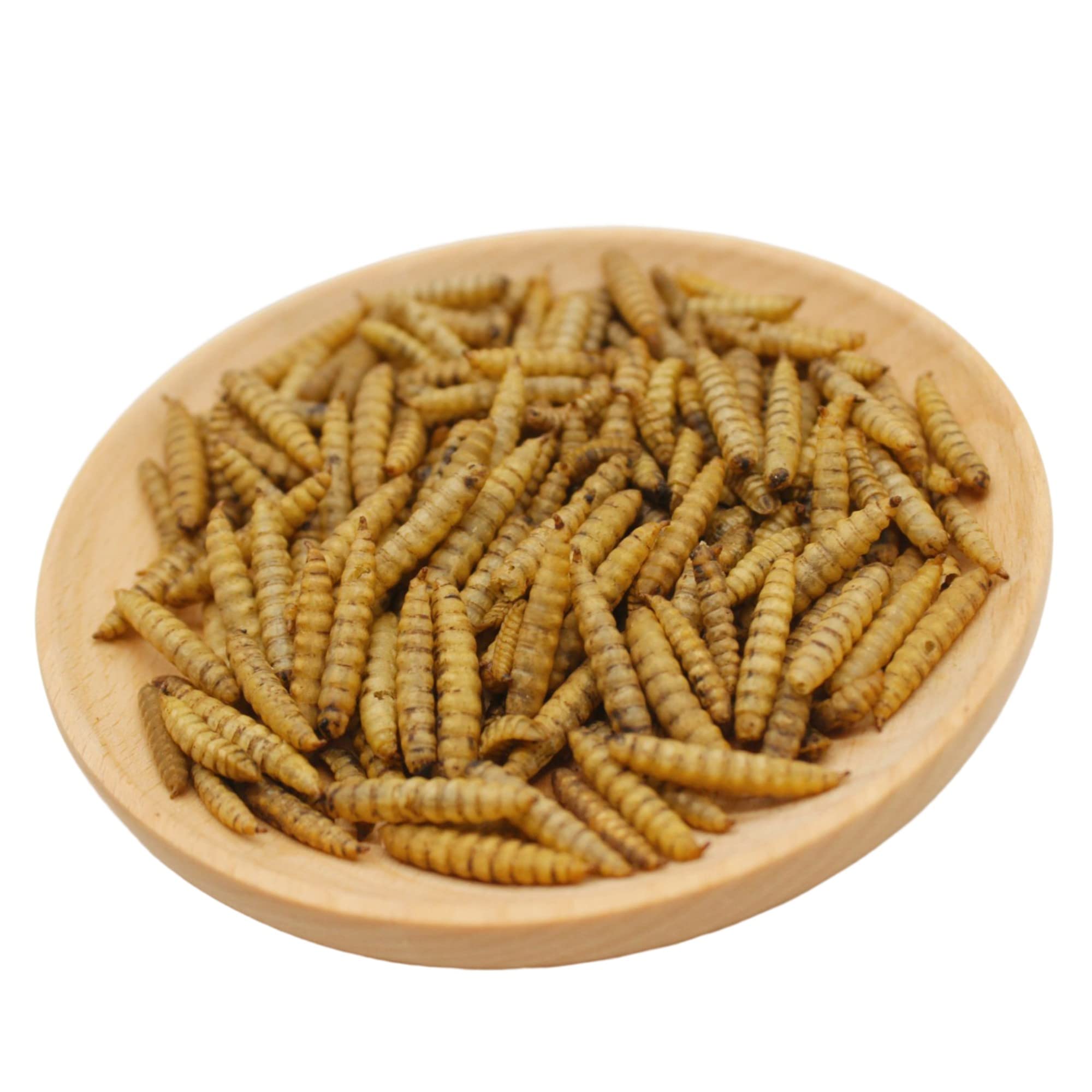 Sustainable feeding with GRUBSFARM, reducing waste in farms.
