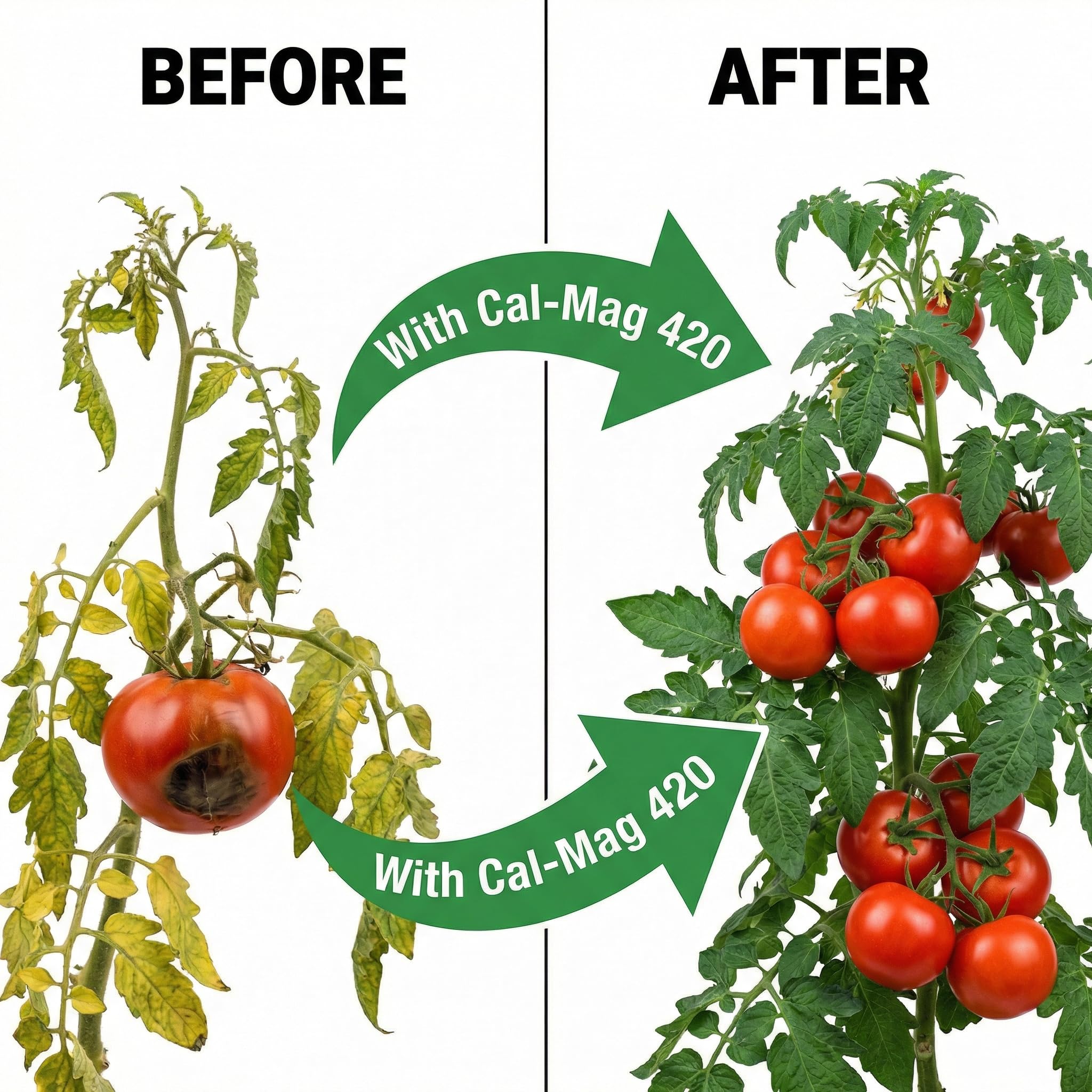 GS Plant Foods Cal-Mag 420 in hydroponic reservoir supporting growth