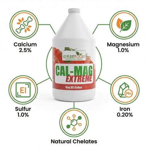 GS Plant Foods Cal-Mag Extreme teaspoon measure demonstrates precise mixing