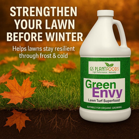 Pouring Green Envy to treat the lawn for healthier turf