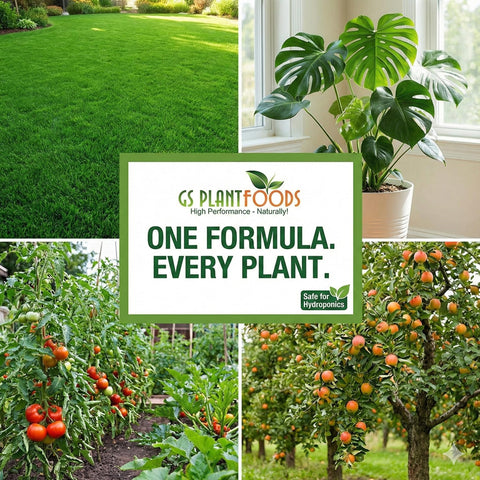 GS Plant Foods humic acid pour action shows easy measuring and application.