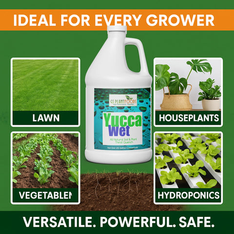 Lawn scene with GS Plant Foods improving water penetration