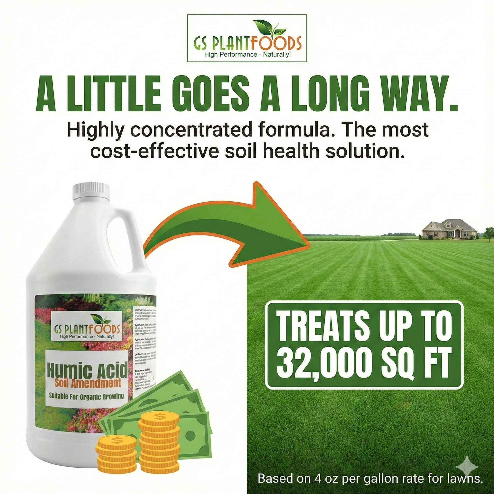 GS Plant Foods Leonardite deposits illustrated as a rich natural organic matter source.
