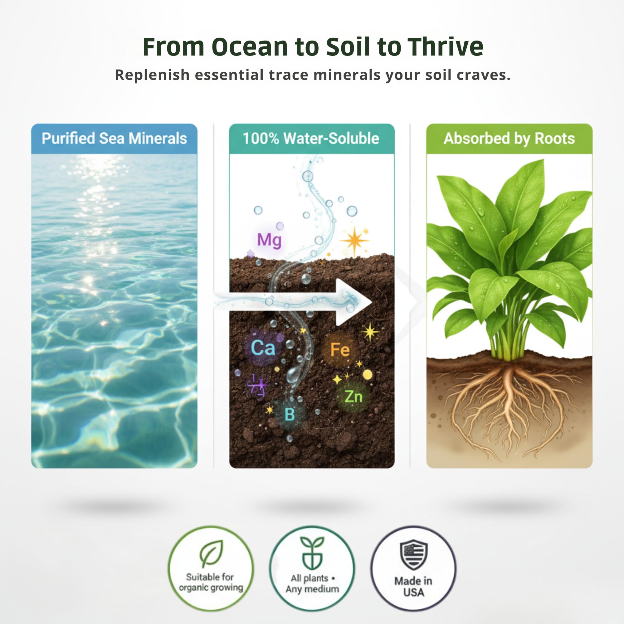 GS Plant Foods Ocean Magic sprayer nozzle demonstrates spray-ready coverage