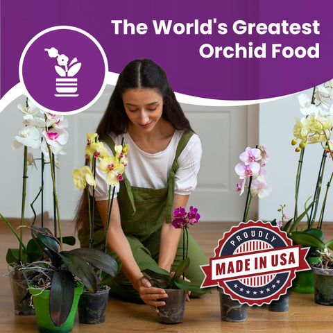 Orchid Love concentrate ready for dilution and use
