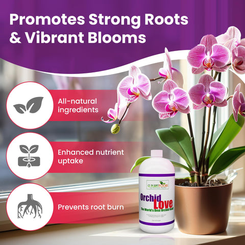 Orchid Love dosing guidance mixed into water for even nutrient delivery
