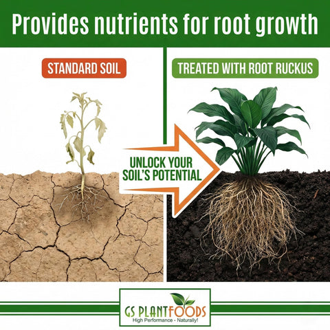 GS Plant Foods Root Ruckus dilution in water for foliar or soil feeding