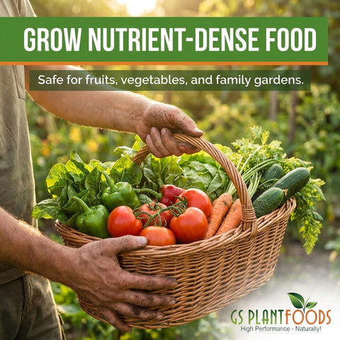 GS Plant Foods Root Ruckus near foliage plants improving soil conditions