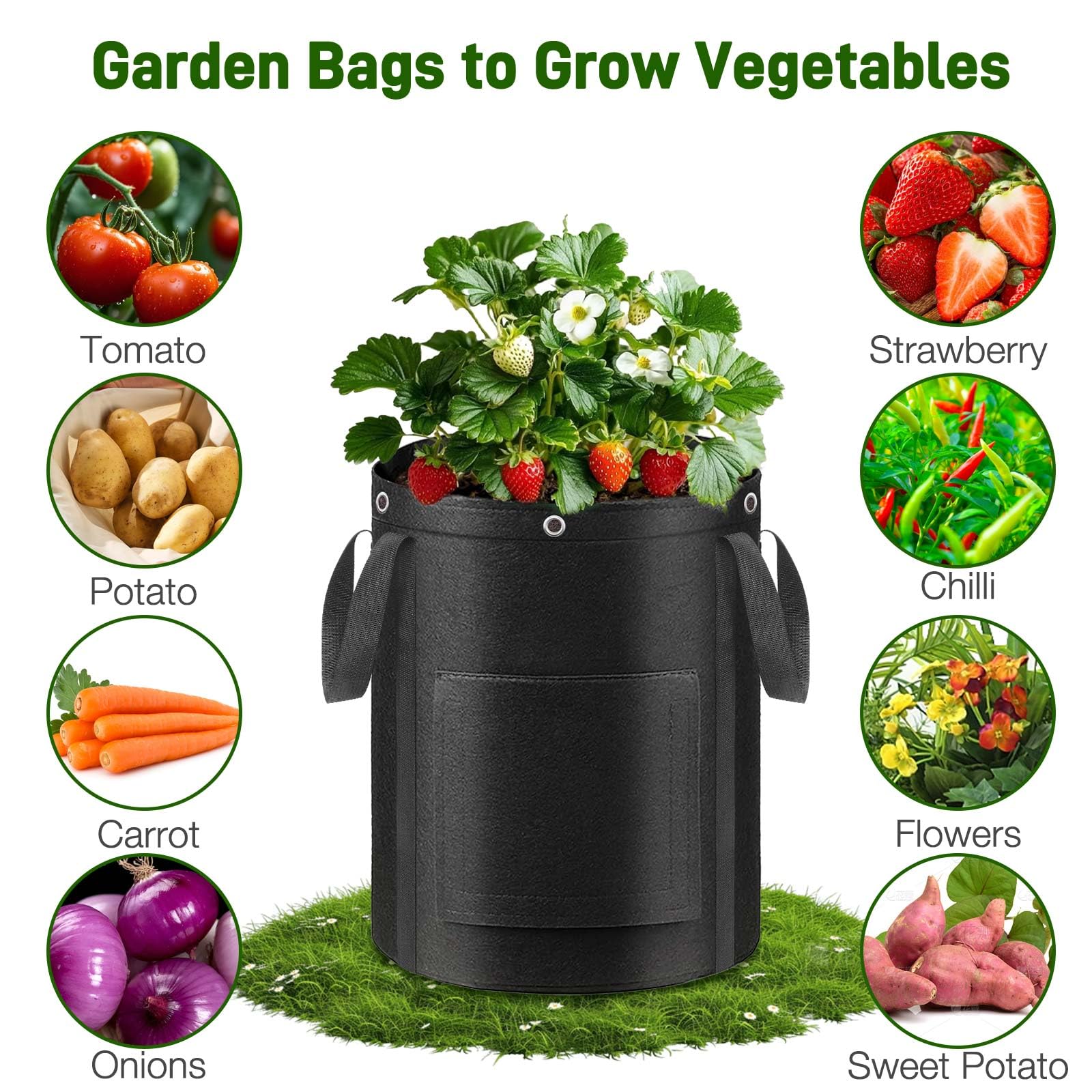 Gsonia grow bag near a greenhouse/deck showing flexible placement in small spaces.