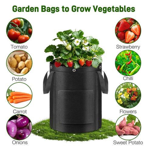 Gsonia grow bag near a greenhouse/deck showing flexible placement in small spaces.