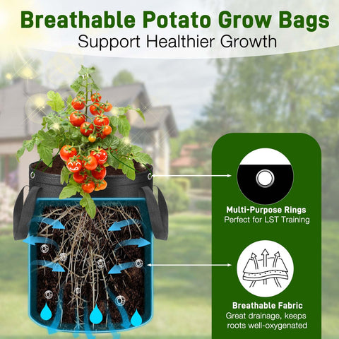 Gsonia non-woven bag illustrating strong drainage to prevent waterlogging.
