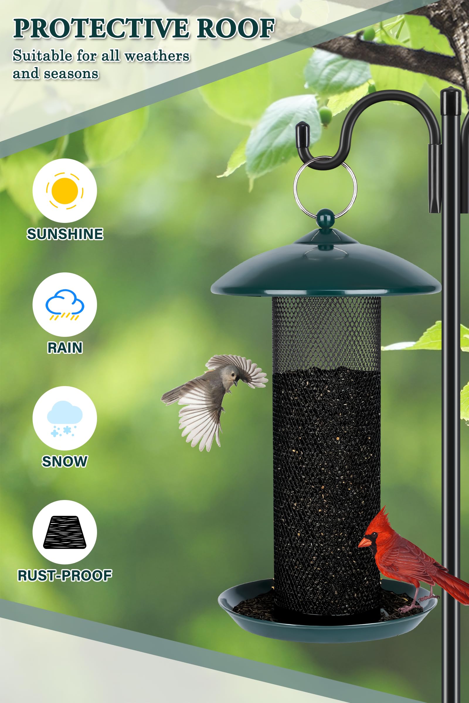 Gtongoko 6-inch round perch tray provides perching space for clinging birds.