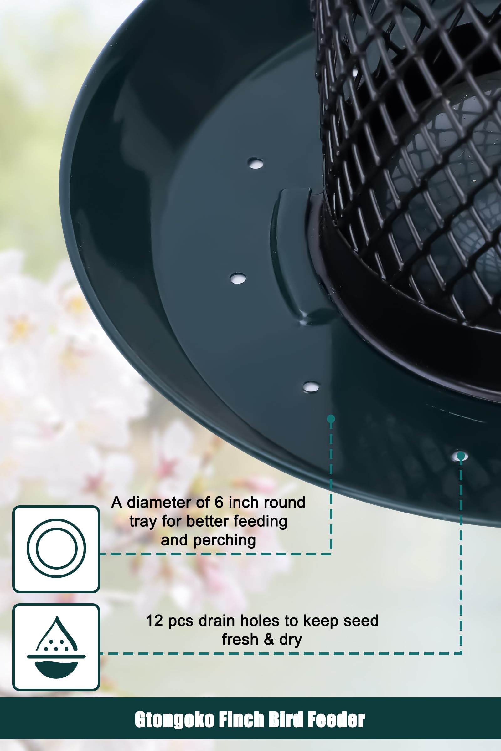 Gtongoko mesh design features 12 drain holes to keep seeds fresh and dry.