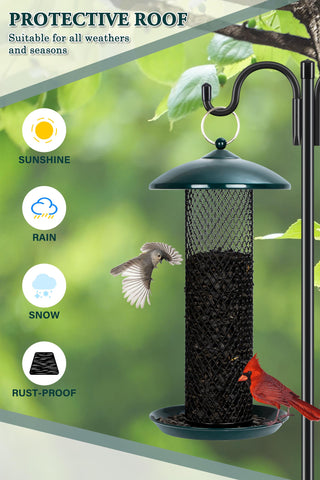Gtongoko feeder with a 6-inch tray provides secure perching for visiting birds.