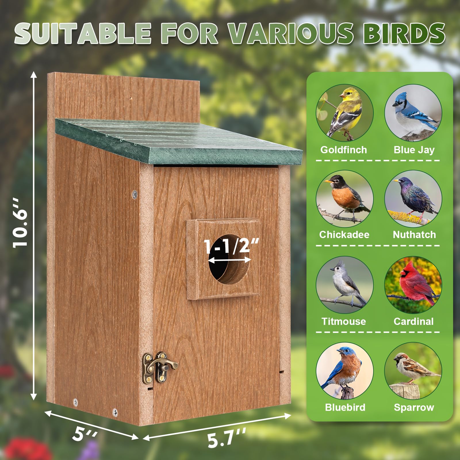 Gtongoko bird house front door open for easy cleaning after nesting