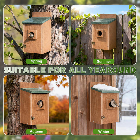 Gtongoko bird house featuring predator guard to protect chicks