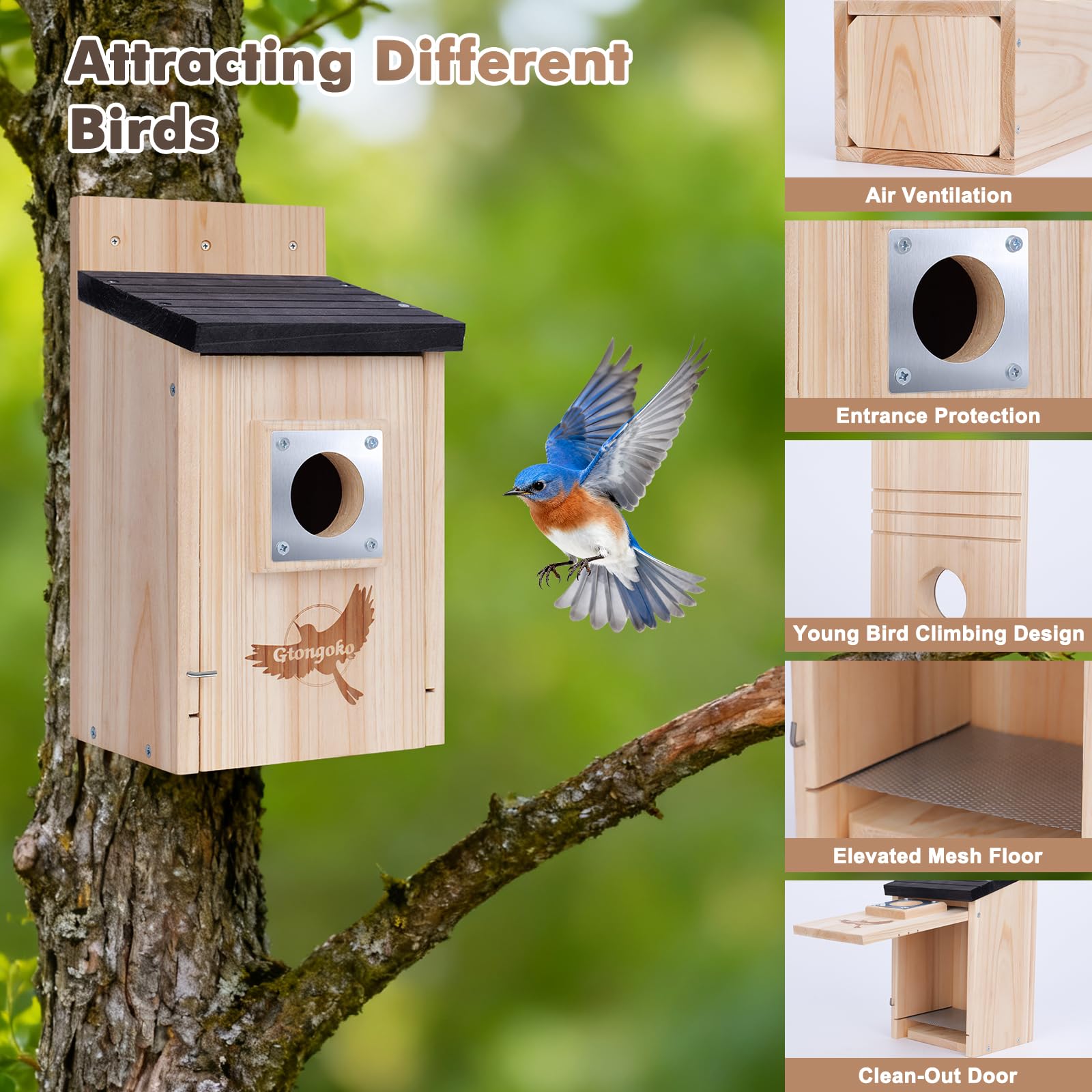 Gtongoko birdhouse built-in mesh floor helps fledglings exit safely.