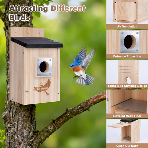 Gtongoko birdhouse built-in mesh floor helps fledglings exit safely.