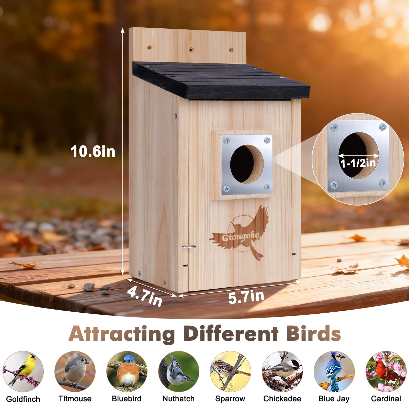Gtongoko outdoor birdhouse in natural pine for a garden setting.