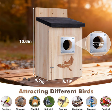 Gtongoko outdoor birdhouse in natural pine for a garden setting.