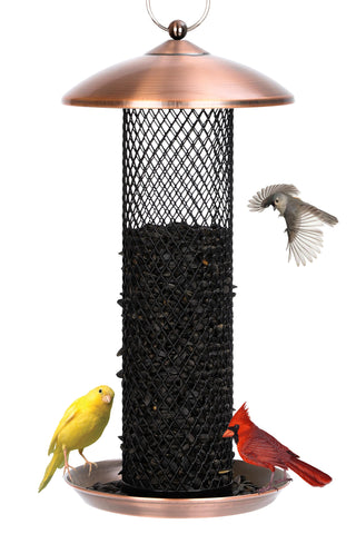 Gtongoko copper bird feeder exterior with rain lid protects seeds from moisture.