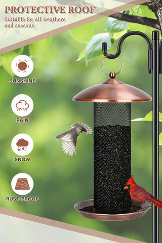 Gtongoko copper mesh tray provides a stable perching area