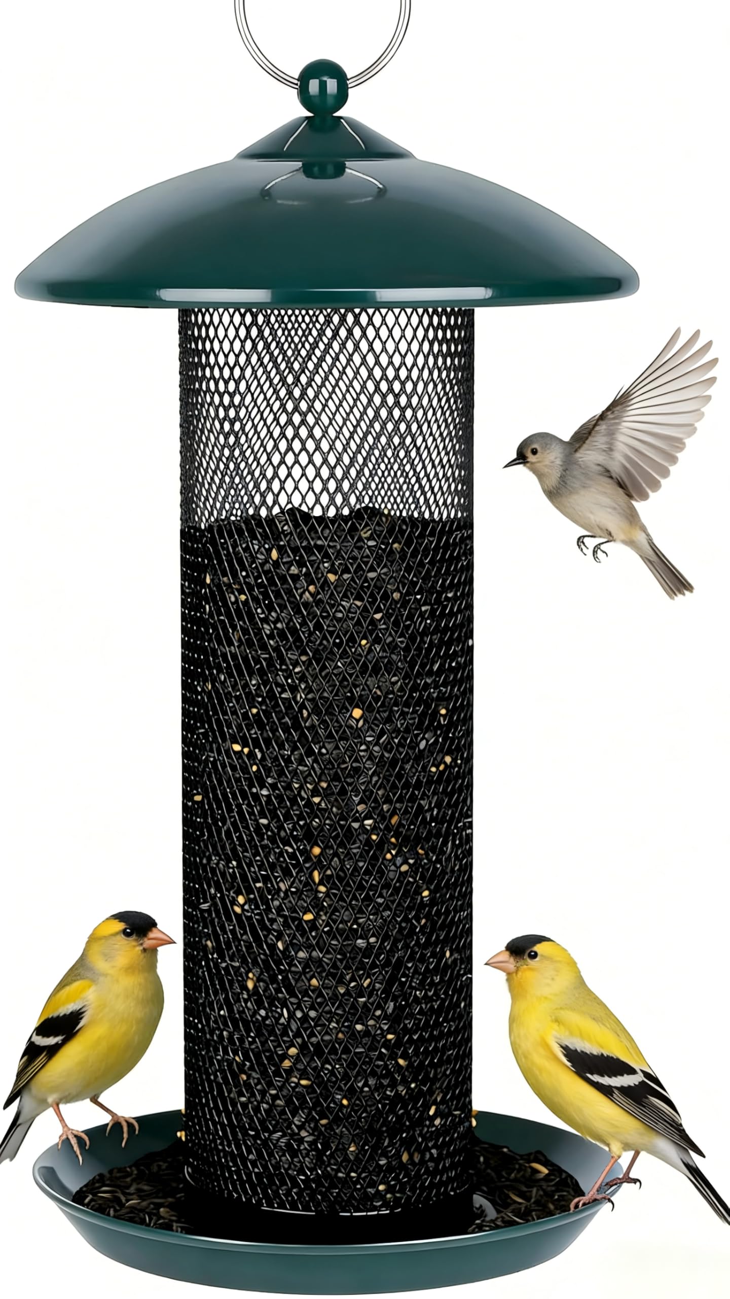 Gtongoko Finch Feeder outdoor 2.5 lb capacity supports longer feeding without refills.