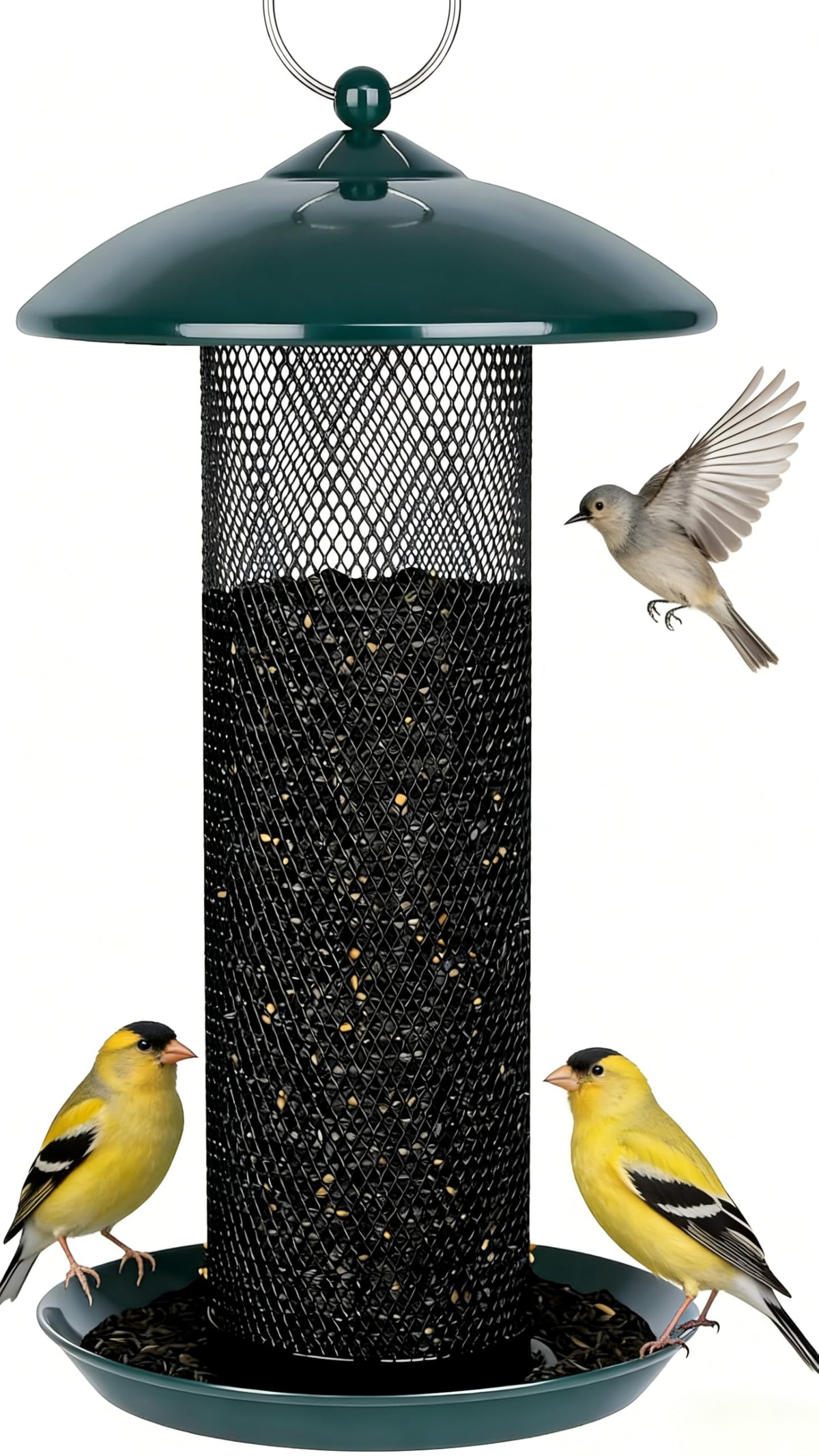 Gtongoko Finch Feeder outdoor 2.5 lb capacity supports longer feeding without refills.
