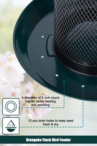 Gtongoko Finch Feeder 6 inch tray provides space for perching.