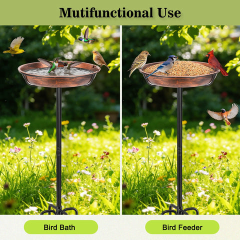 Gtongoko garden setup ideal for patios and yards to attract birds.