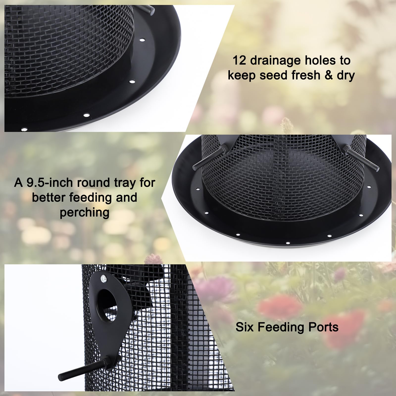 Gtongoko dual-seed compartments invite diverse backyard birds