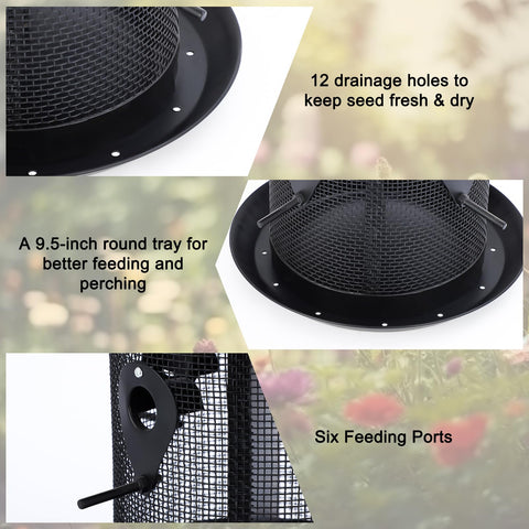 Gtongoko dual-seed compartments invite diverse backyard birds