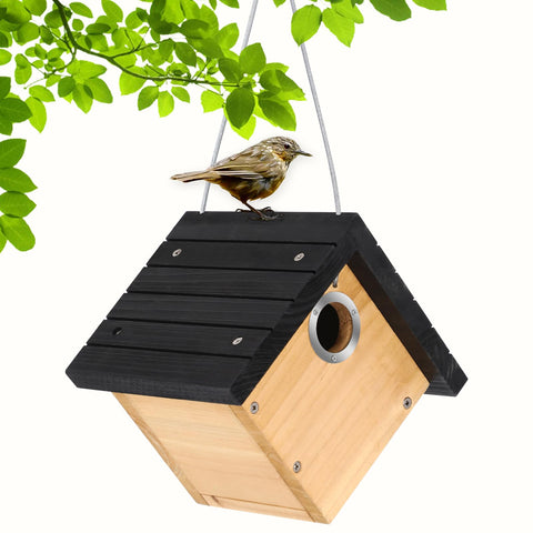 Gtongoko hanging wren bird house on branch for easy wildlife watching.