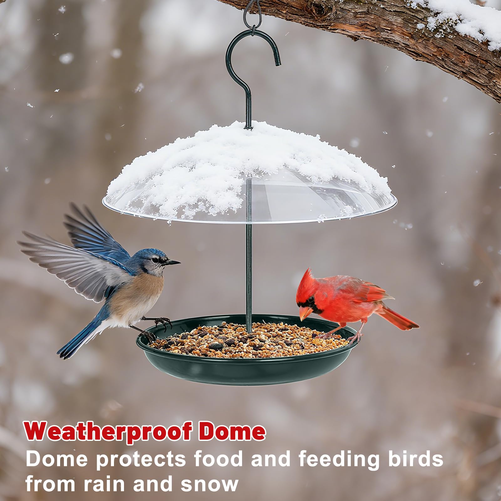 Gtongoko feeder showing 2 lbs seed capacity for longer outdoor feeding