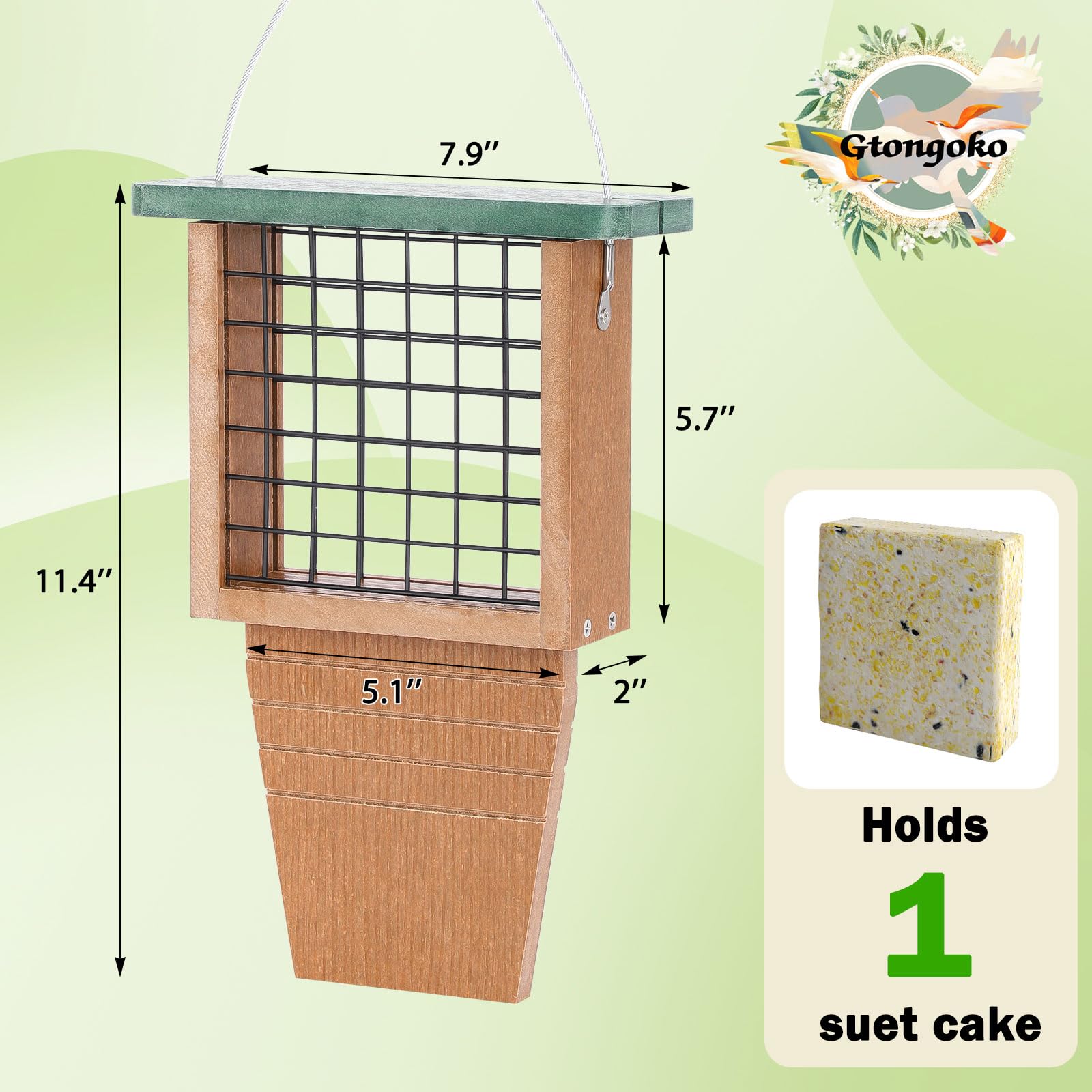 Gtongoko tail-pro design supports balance for woodpeckers.