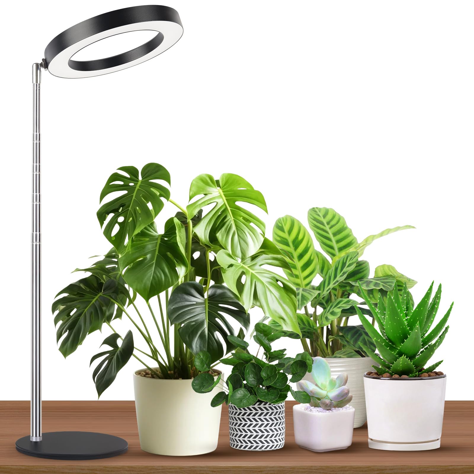 GTRUIIDY desktop grow light base provides stable support for desk plants.
