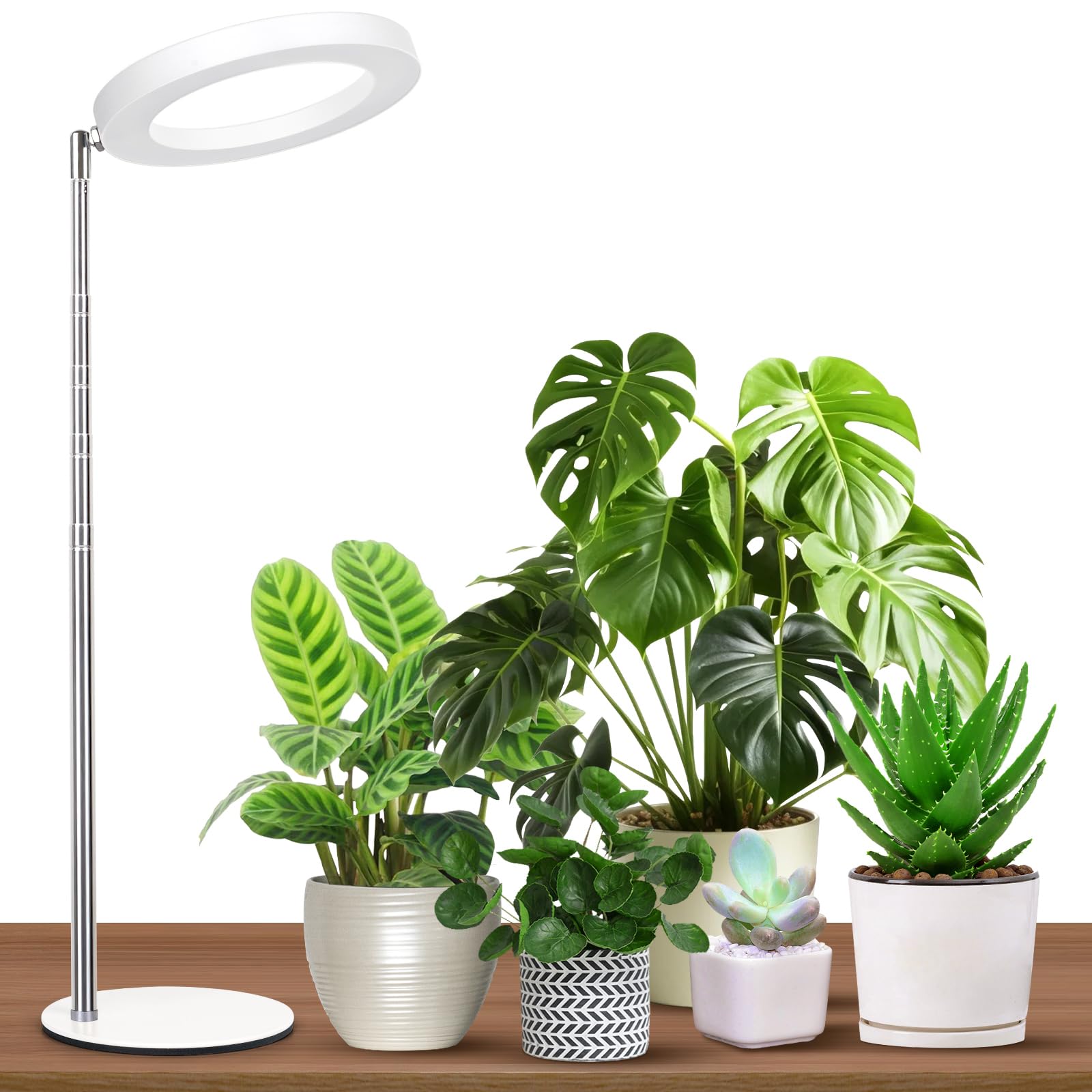 GTRUIIDY Desktop Grow Light overview shows full spectrum illumination for indoor plants